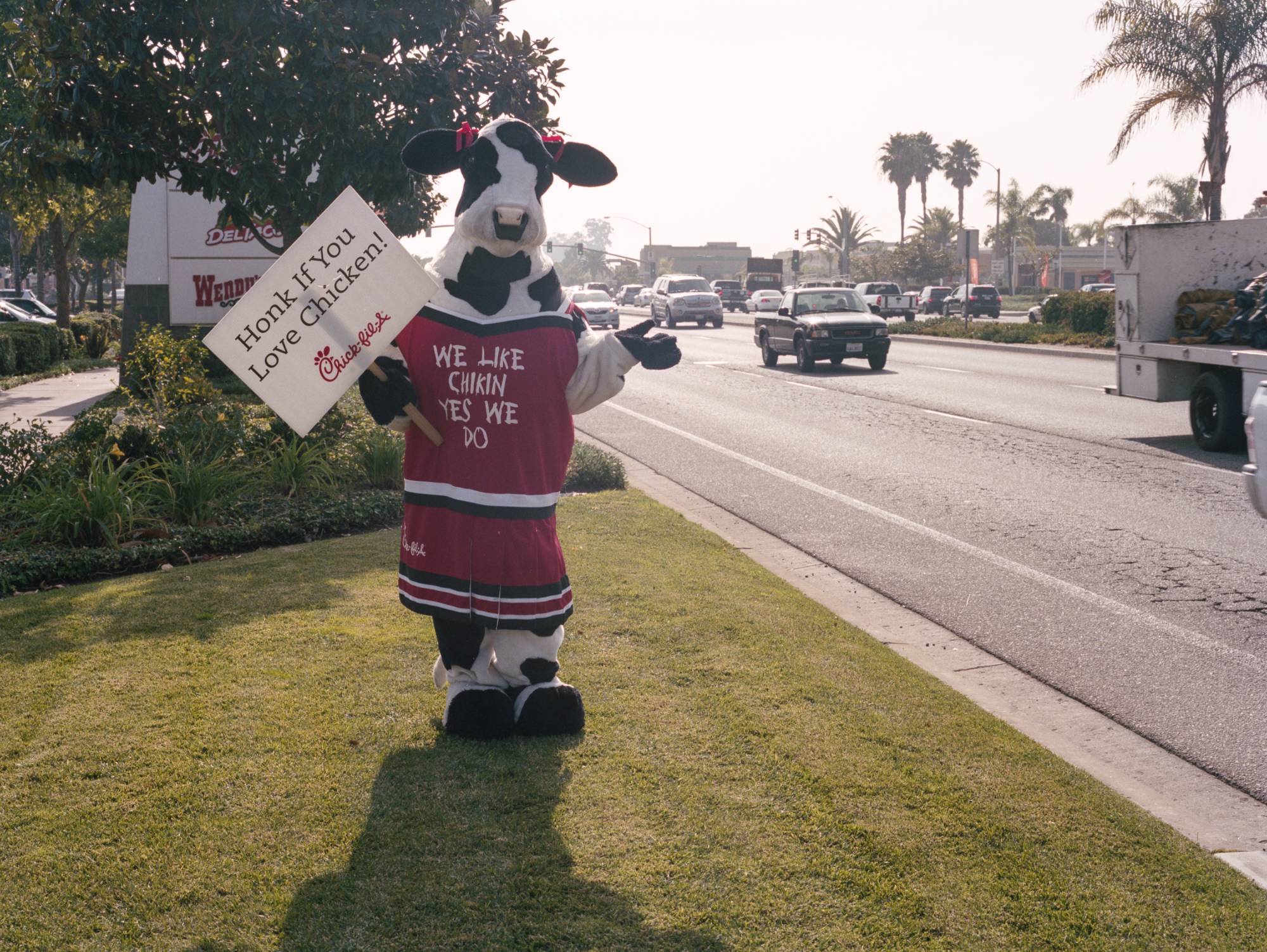 Holding Signs